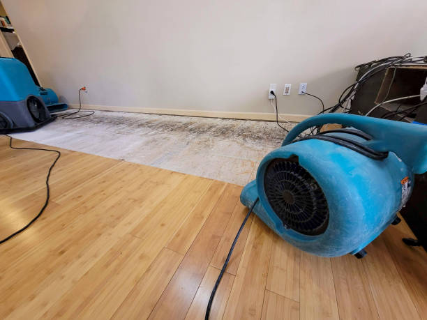 Professional Water Damage Repair technician working in North Hampton, OH